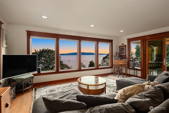 living room featuring plenty of natural light, a water view, and light hardwood / wood-style floors