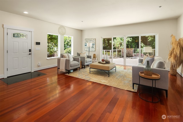 living room with wood-type flooring and a healthy amount of sunlight