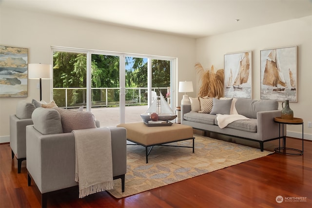 living room with hardwood / wood-style flooring and a healthy amount of sunlight