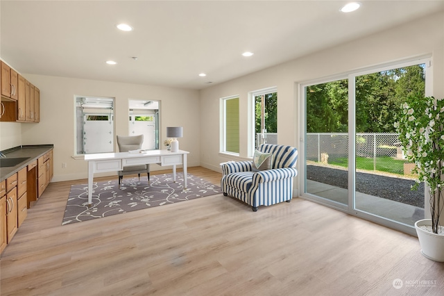 living room featuring plenty of natural light, sink, and light hardwood / wood-style floors