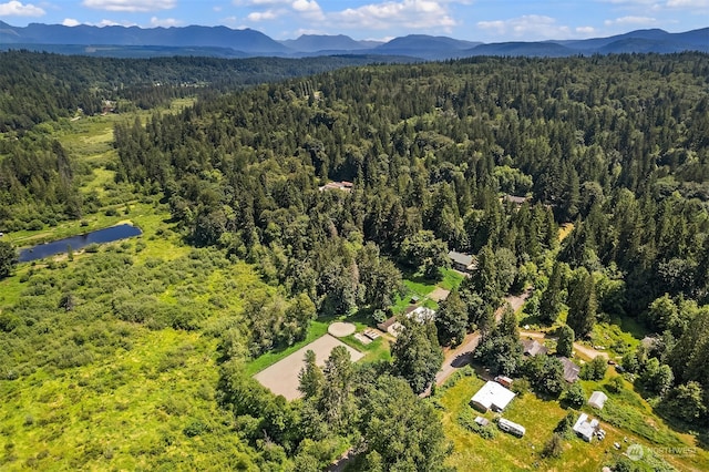 aerial view featuring a mountain view