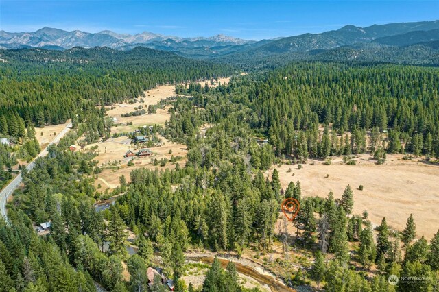 drone / aerial view with a view of trees and a mountain view