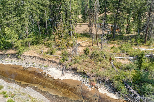 view of nature featuring a forest view