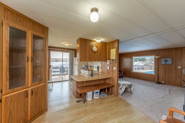 kitchen with wood walls, plenty of natural light, and light colored carpet