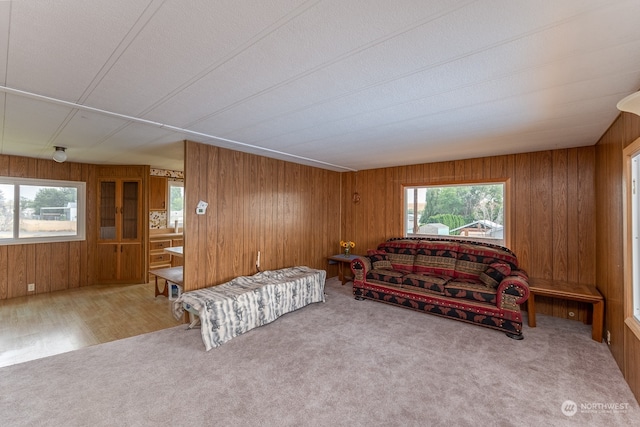 living room featuring wood walls, wood-type flooring, and a healthy amount of sunlight