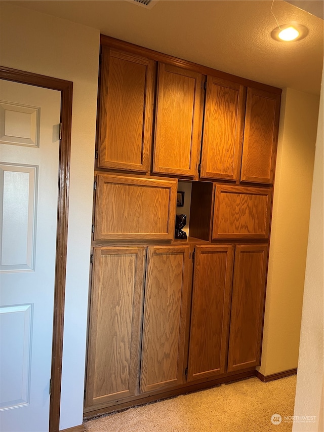 room details with a textured ceiling and carpet floors