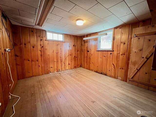 basement with wood walls, hardwood / wood-style floors, and plenty of natural light