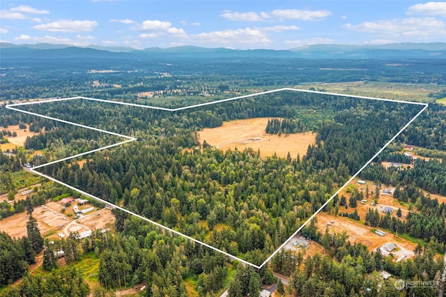 1716 304th St E, Roy WA, 98580 land for sale