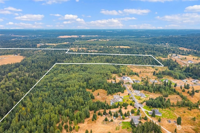 1716 304th St E, Roy, WA 98580