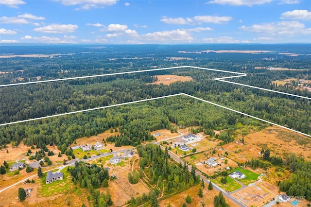 1716 304th St E, Roy, WA 98580