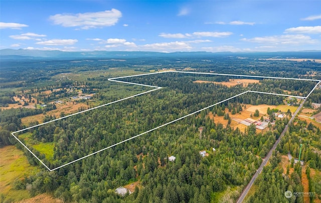 1716 304th St E, Roy, WA 98580