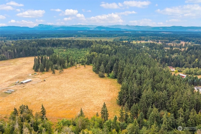 1716 304th St E, Roy, WA 98580