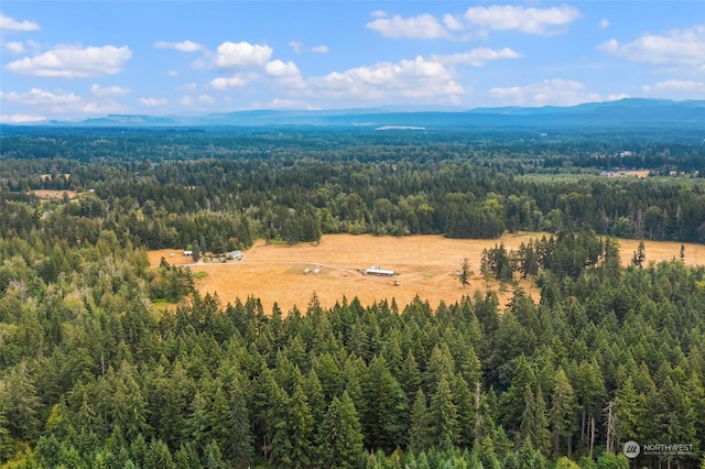 1716 304th St E, Roy, WA 98580