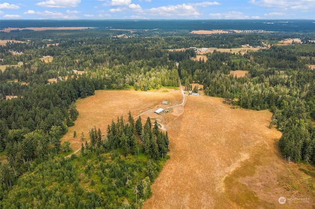 1716 304th St E, Roy, WA 98580