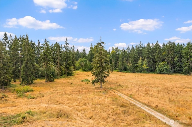 1716 304th St E, Roy, WA 98580