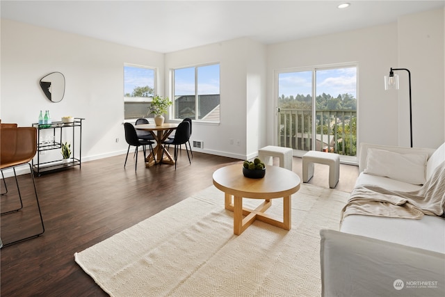 living room featuring hardwood / wood-style floors