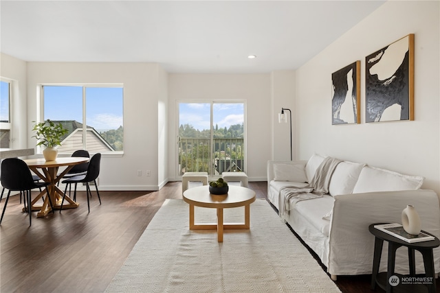 living room featuring dark wood-type flooring