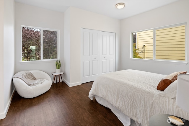 bedroom featuring a closet and dark hardwood / wood-style floors