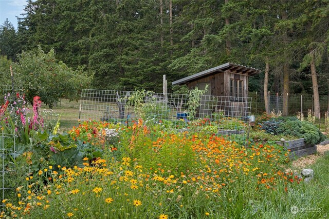 view of yard featuring a shed