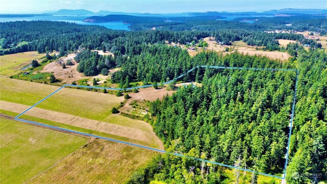 drone / aerial view with a mountain view and a rural view