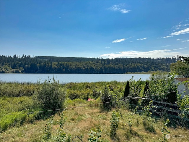 9999 E Snow Creek Way, Quilcene, WA 98376