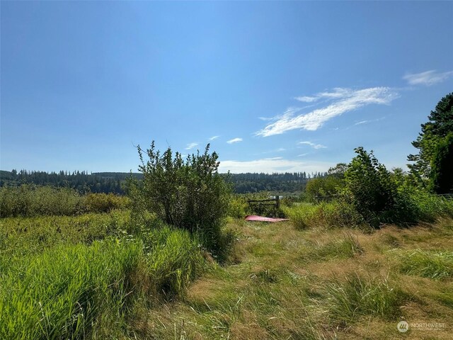 9999 E Snow Creek Way, Quilcene, WA 98376