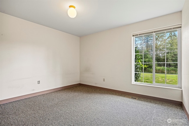 unfurnished room with plenty of natural light and carpet flooring