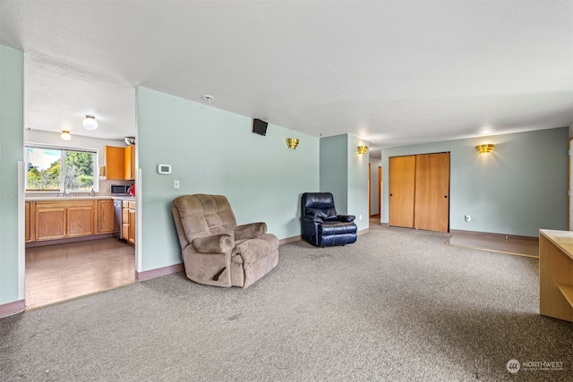 unfurnished room with sink and carpet flooring