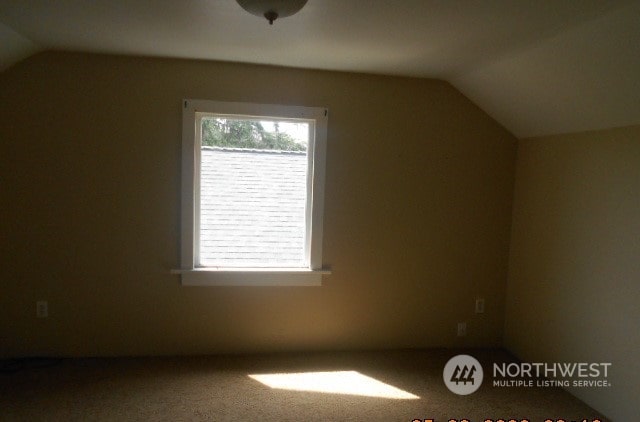 bonus room with carpet floors and vaulted ceiling