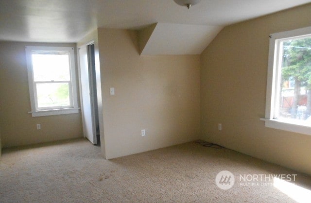 bonus room with vaulted ceiling, a wealth of natural light, and light colored carpet