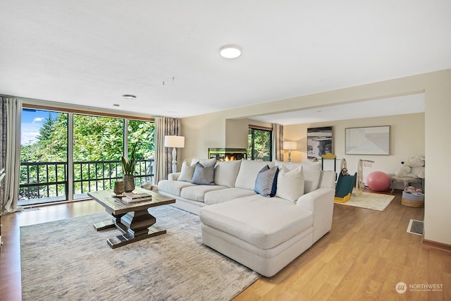 living room with light wood-type flooring and floor to ceiling windows