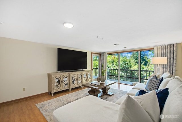 living room featuring hardwood / wood-style flooring and a wall of windows