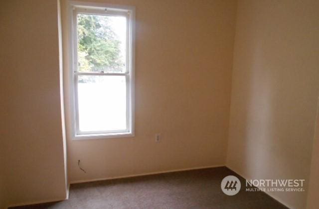 spare room with carpet and a wealth of natural light