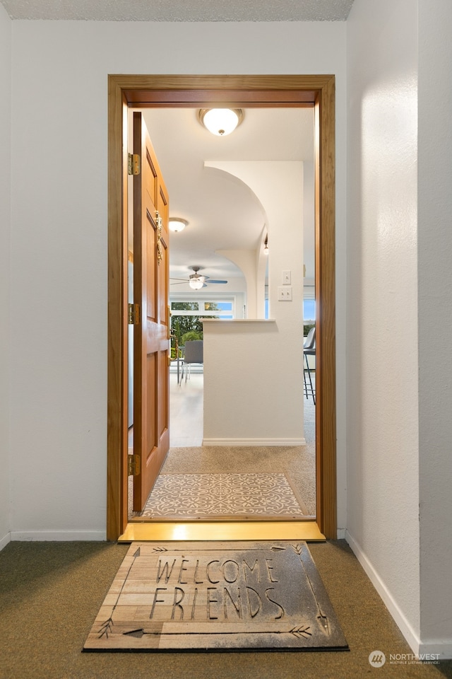 corridor with carpet flooring and a barn door