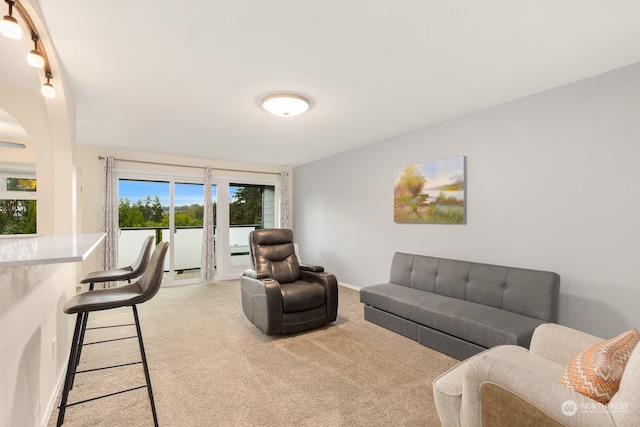 view of carpeted living room