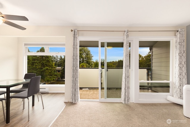 doorway to outside with ceiling fan and light hardwood / wood-style flooring