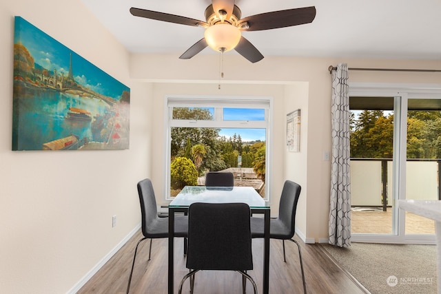 dining space featuring a wealth of natural light, hardwood / wood-style flooring, and ceiling fan