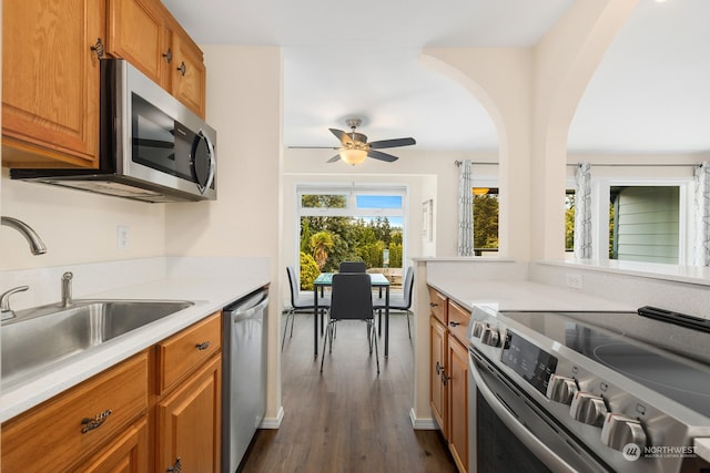 kitchen featuring sink, stainless steel appliances, ceiling fan, and dark hardwood / wood-style floors