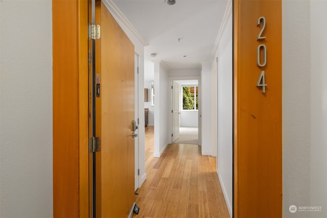 corridor with crown molding and light wood-type flooring