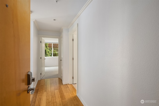 hall featuring crown molding and light wood-type flooring