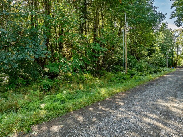 1518 Ann St NE, Olympia WA, 98506 land for sale