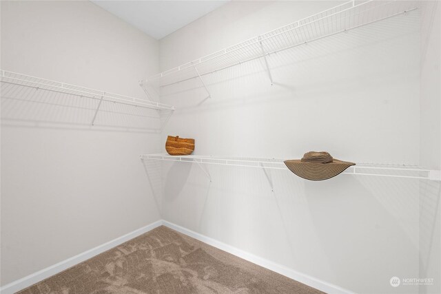 spacious closet with carpet