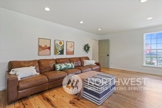 living room featuring hardwood / wood-style floors