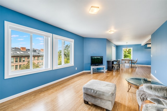 living room featuring a healthy amount of sunlight and light hardwood / wood-style floors