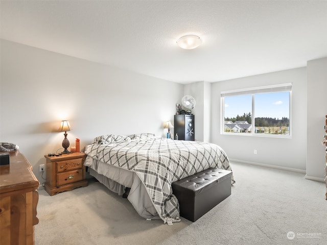 3824 S 43rd Pl, Ridgefield, WA 98642 - photo 17