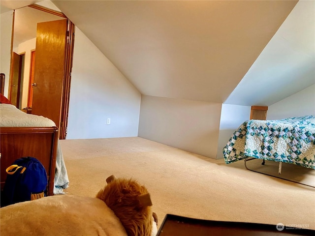 bonus room with carpet floors and lofted ceiling