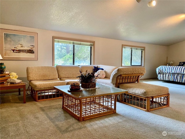 living room with a textured ceiling and carpet flooring