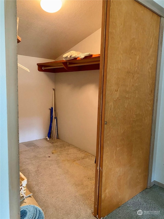 walk in closet featuring carpet floors