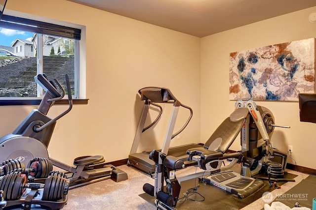 workout area featuring carpet