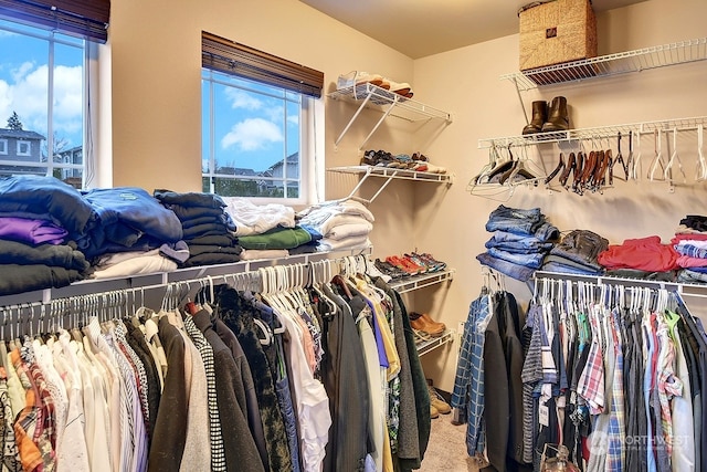 walk in closet with carpet flooring